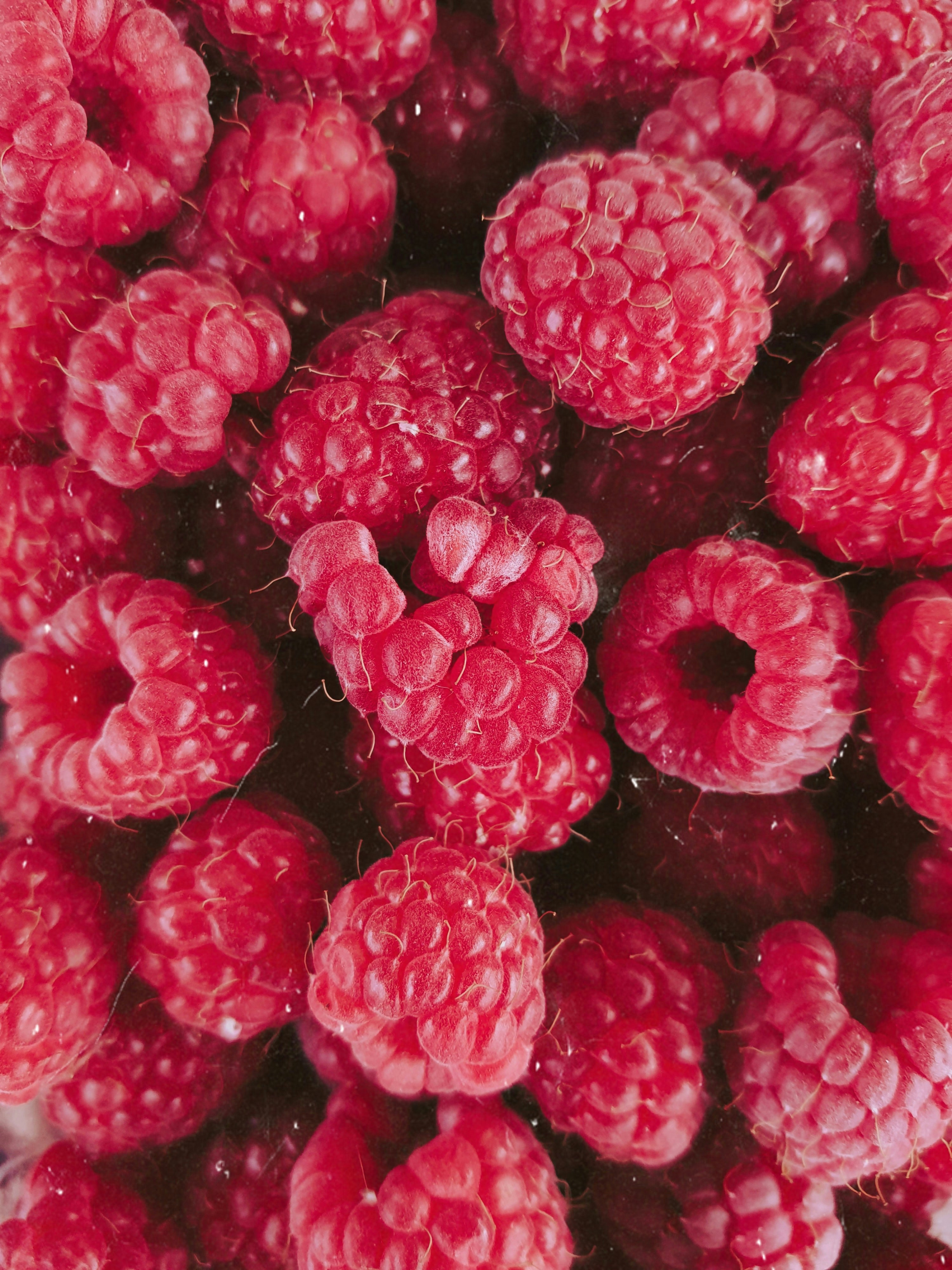 red round fruits in close up photography